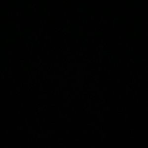 Meet your Posher, Fernando